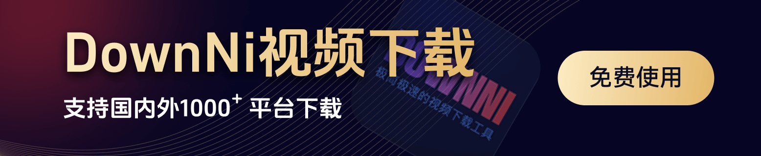 DownNi视频下载